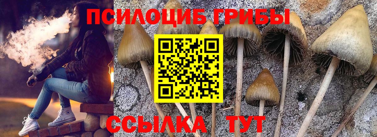 Псилоцибиновые грибы GOLDEN TEACHER  Галлюциногенные грибы прущие грибы  Димитровград  Вход с VPN 