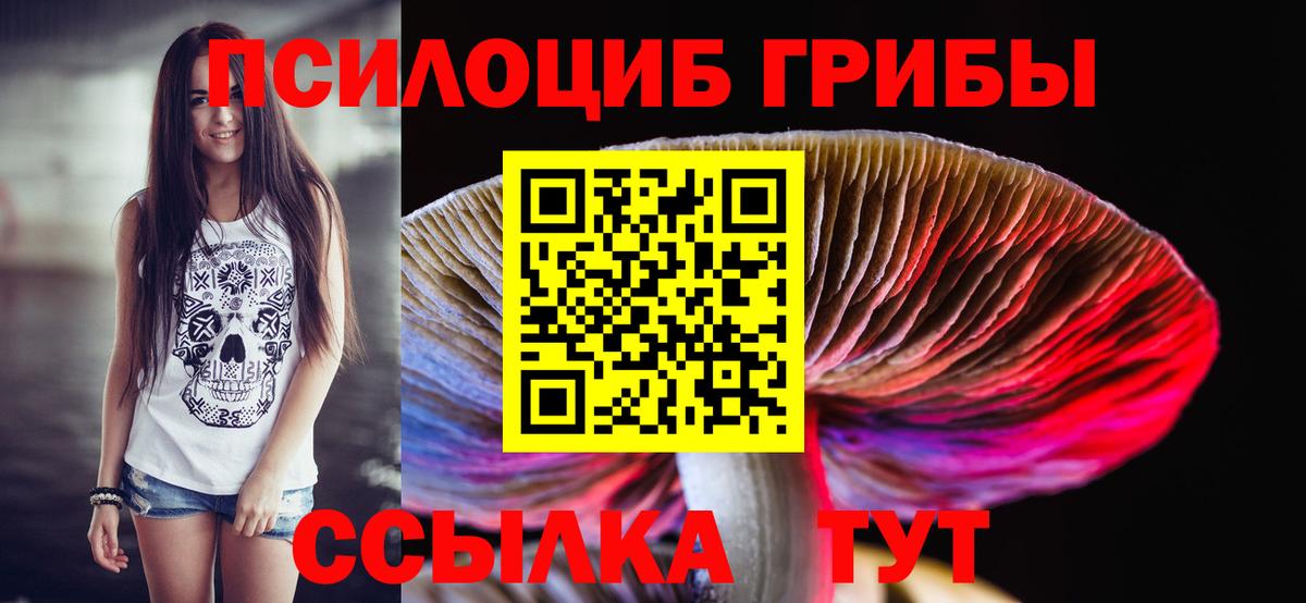 Псилоцибиновые грибы Cubensis Димитровград